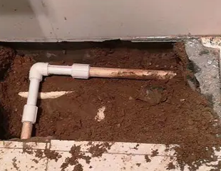 阜平县测漏水哪家好