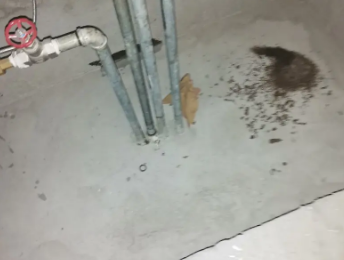 阜平县卫生间测漏水价格明细